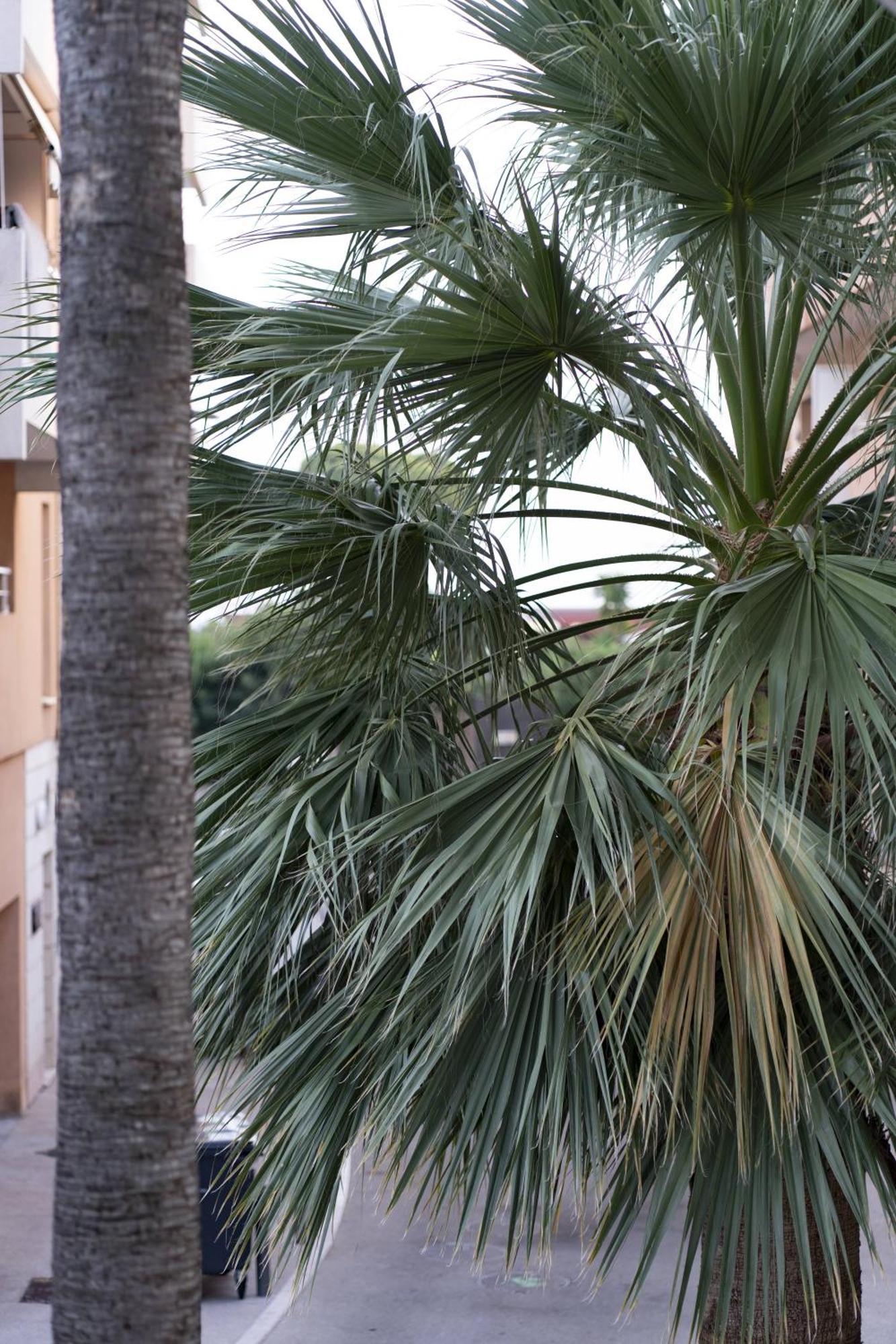 La Petit Maisonette De Manu Κάννες Εξωτερικό φωτογραφία